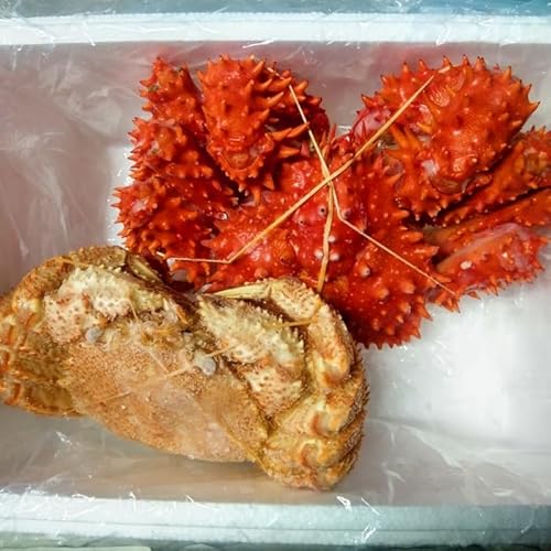 [北海道根室市] [年内配送品(12/21決済分まで)] 北海道根室市産 花咲ガニ1尾、毛ガニ1尾(2種計1.7kg前後) E-57001[配送月(年明け含む)の指定は不可]
