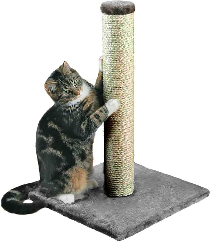 Cat Scratching Posts Amazon.co.uk