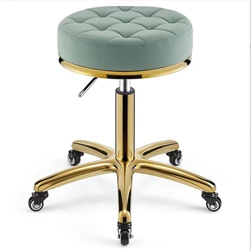 Taburete de salón de rotación de 360 °, cojín de cuero redondo silla de belleza de 330 libras de carga pesada taburete hidráulico, rueda de