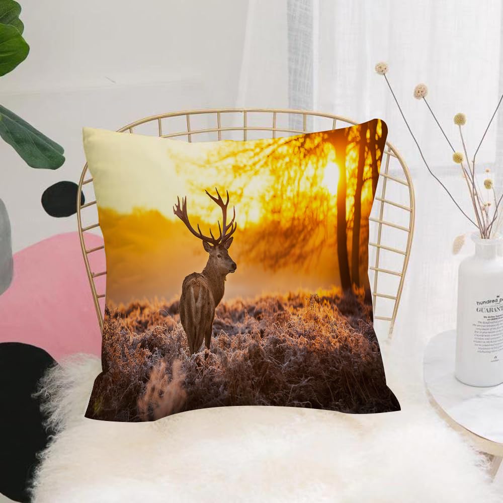 HYMSXW Cushion Cover,Throw Pillow Case Home Decorative for Living Room Bedroom Sofa Chair 20X20 Inch,Deer, stag silhouette in morning light, stag portrait,Pillowcase 50X50cm