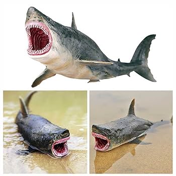 トロレアイト 鮫 サメ トロレアイト 鮫 サメ