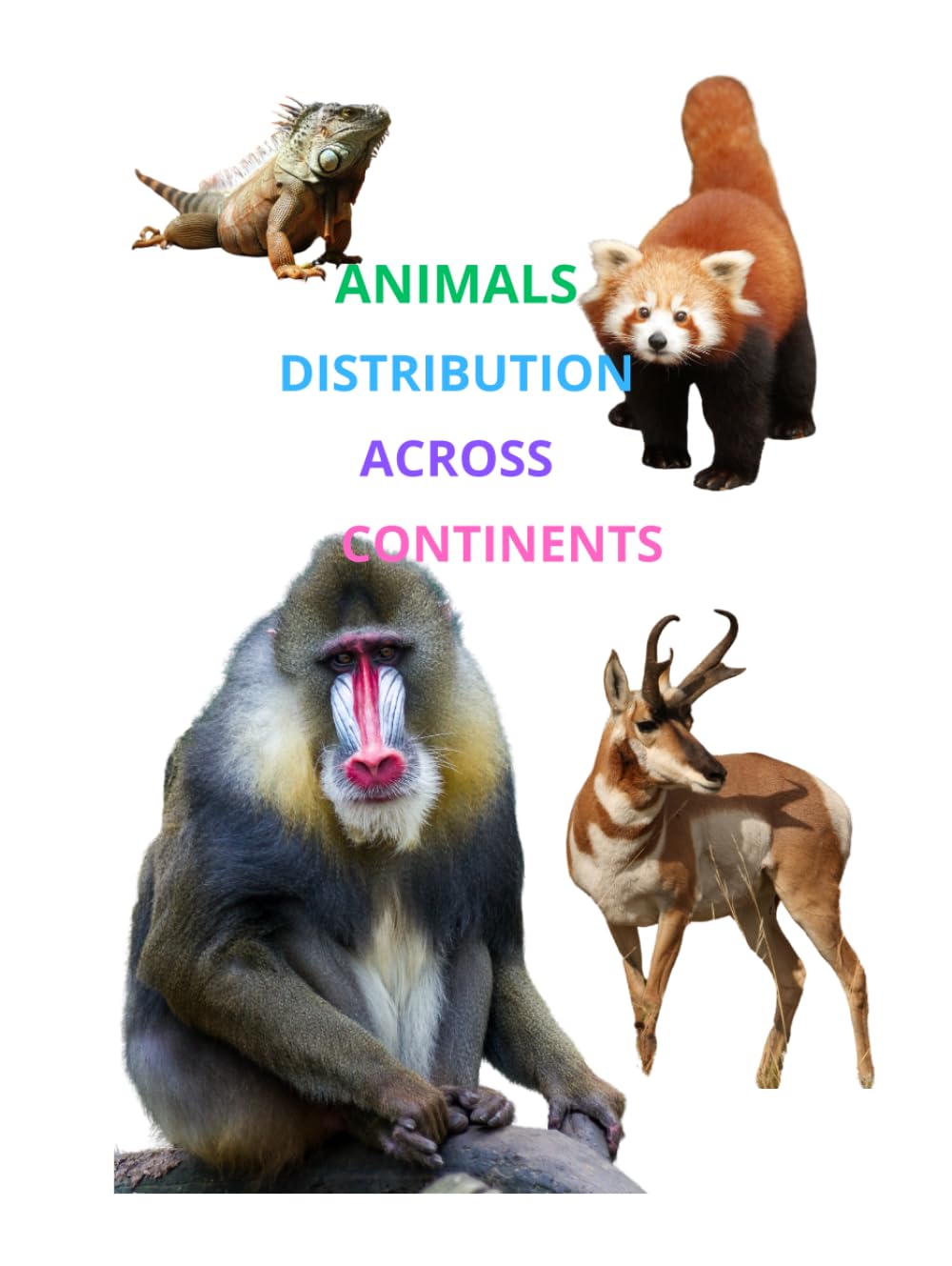 Animals distribution across continents