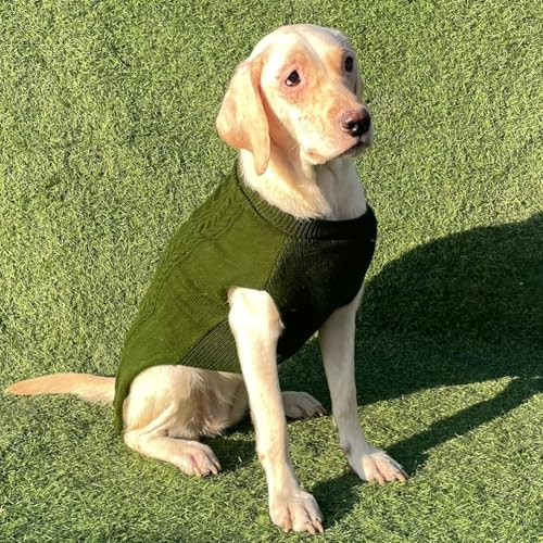 Image of Lulala Turtleneck Dog Sweater, Dog Winter Clothes for Small Dogs Boy Girl, Warm Dog Sweater for Small Dog (Green-12 Inch)