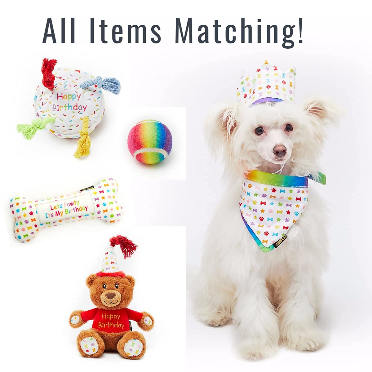 Coffret cadeau d'anniversaire pour chien 6 pièces avec jouets, chapeau et bandana Taille S