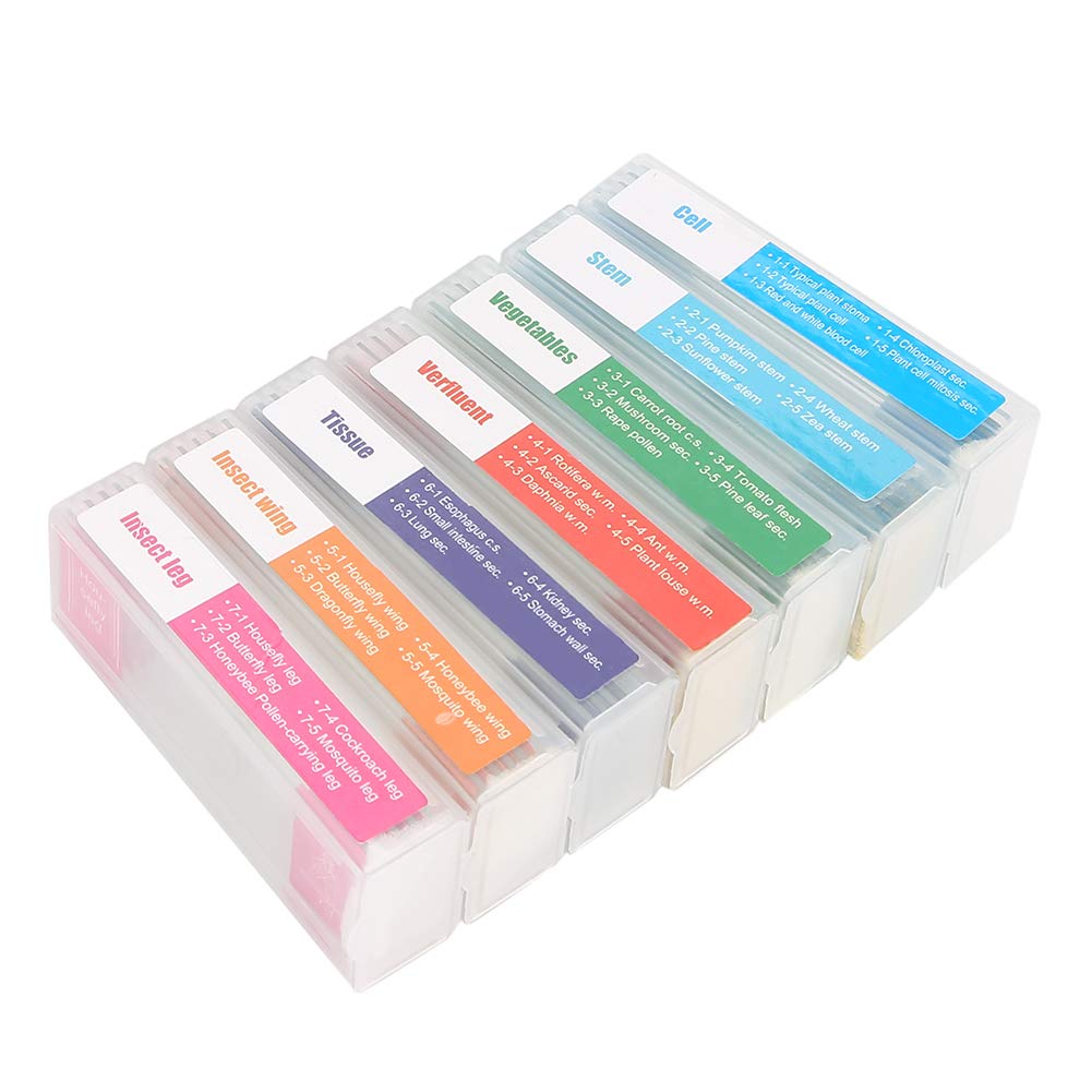 Microscope Slide Microbiology Specimens Slide Lab Specimens Set for Teaching