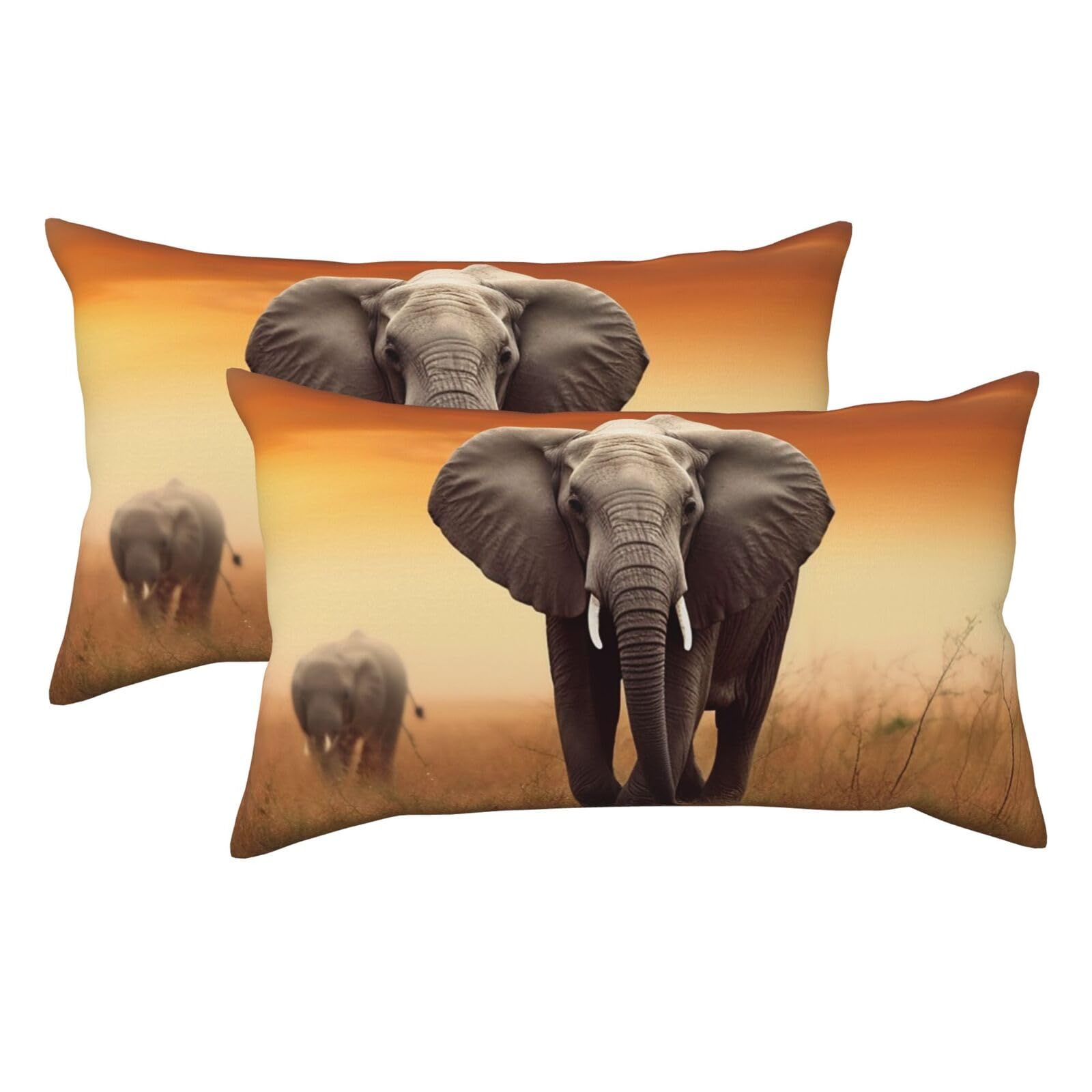 2 Pack King Size Pillow Cases for Hair and Skin Soft Breathable Pillow Case Covers with Hidden Zipper Cute Wild Elephant Pillowcase 20x36 Inches Pillow Covers for Sleeping Gift