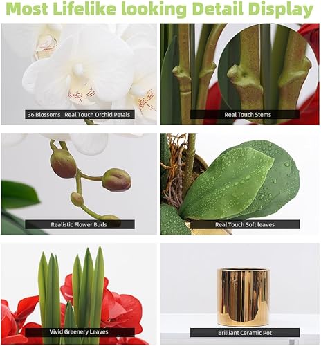 Vista 3 de CXGS Plantas artificiales de orquídeas artificiales de tacto real, orquídeas falsas en jarrón de cerámica de 20.9 pulgadas, orquídea falaenopsis