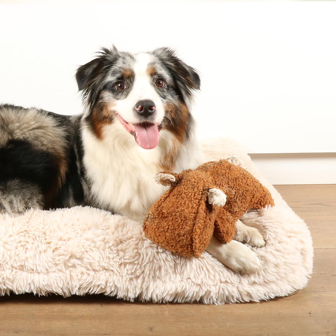 D&D Home, Jouet pour Chiens Emmy 30x14x12 cm, Corde épaisse avec Noeud dans Le Jouet, avec Queue en Corde de Coton Naturel, Rembourrage 100% Polyester, Couleur et Forme contemporaines