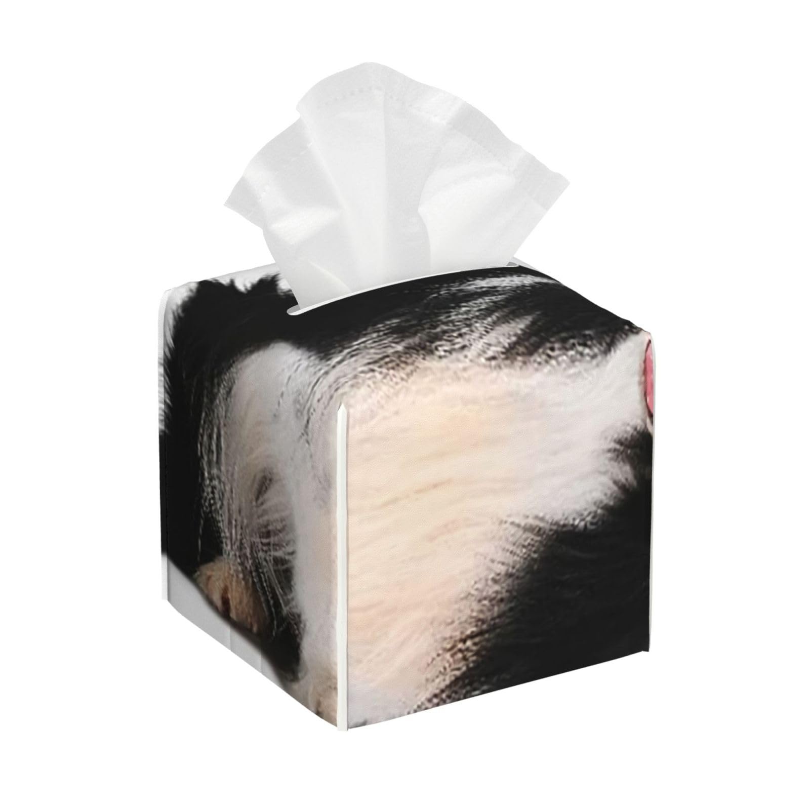 Dog Portrait of Purebred Border Collie White Animal Black Canine CutAnimal PVC Cube Tissue Pack for Home Office Bathroom Use