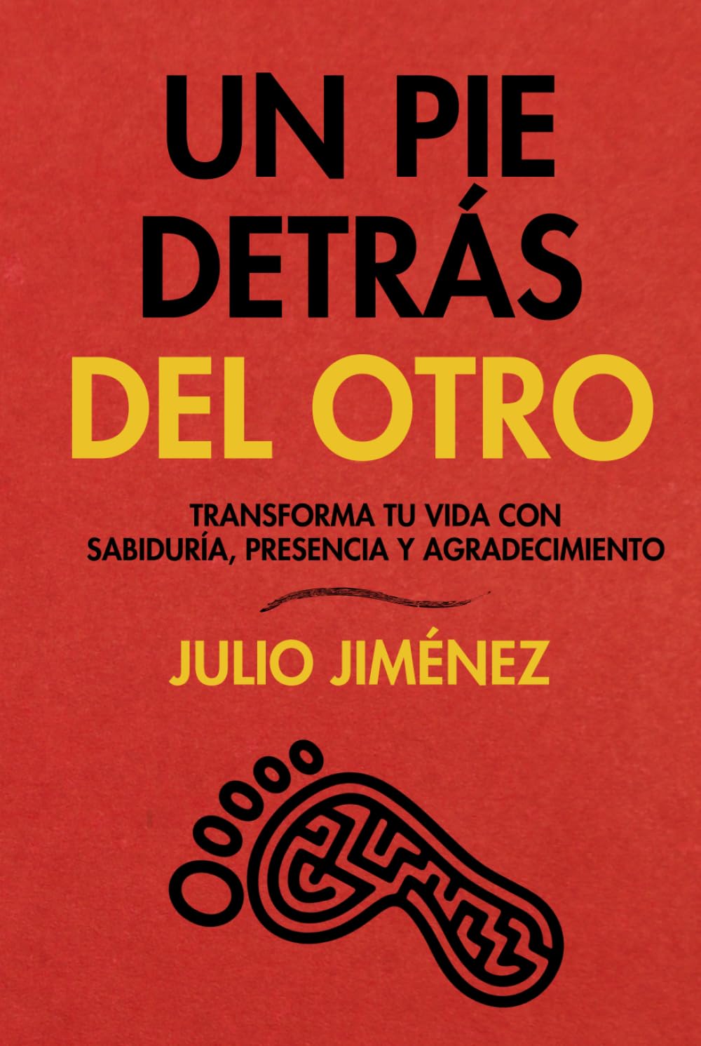 Un pie detrás del otro: Transforma tu vida con sabiduría, presencia y agradecimiento