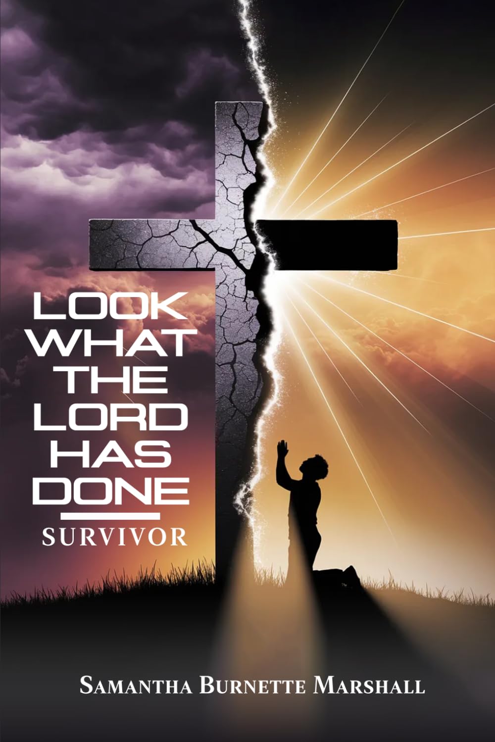 Look What The Lord Has Done: Survivor