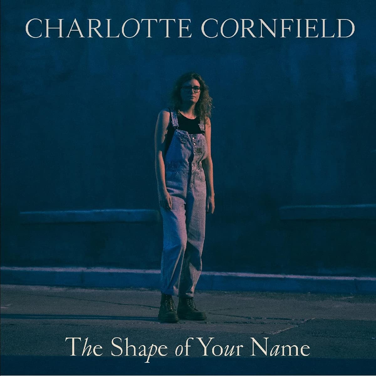 The Shape Of Your Name - Deluxe Reissue [VINYL]