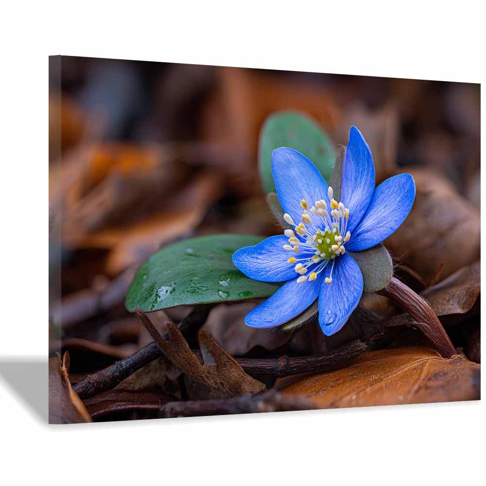ZAMAEIU Natural Scenery Painting Raindrop flowers Pictures Artwork, Contemporary Wall Art Large Size, Room Aesthetic Home Decor,Living Room,Bedroom(blue)-70x100cm Framed