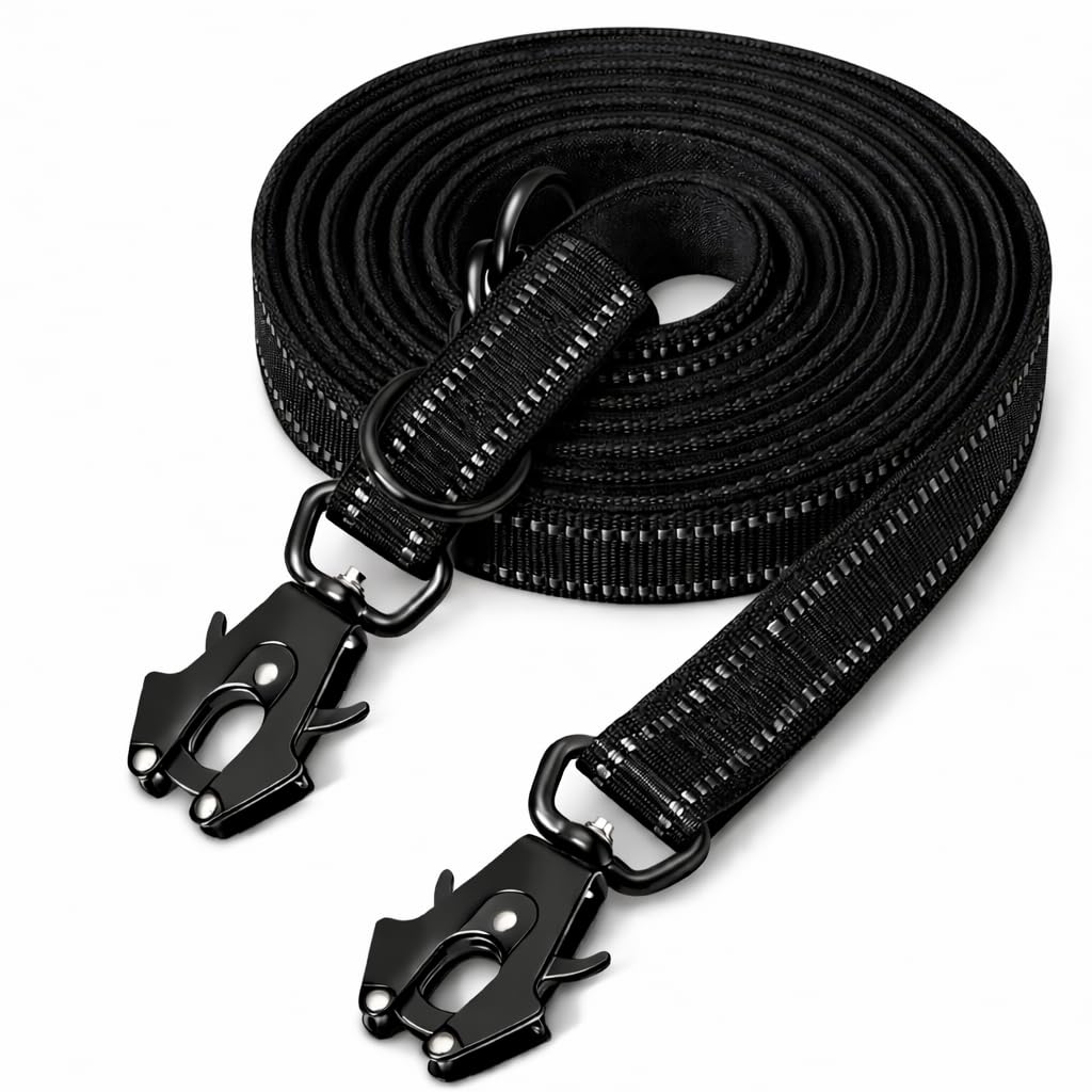 Lina Pet Hundeleine 3m x 2,5 cm, Reflektierend – Verstellbare Doppelleine aus Nylon mit Aluminium-Karabiner, Führleine für große und mittelgroße Hunde