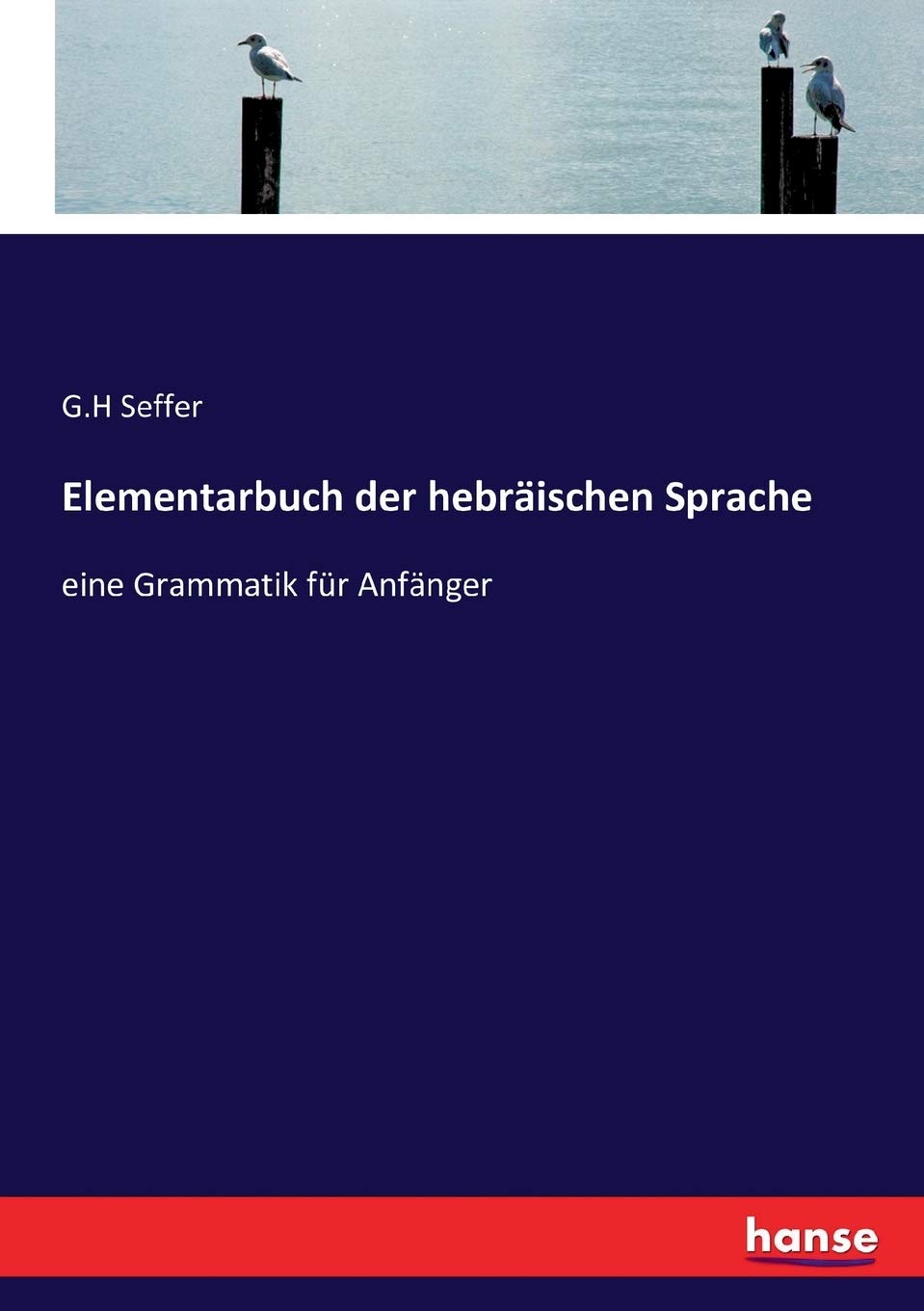 Elementarbuch der hebräischen Sprache: eine Grammatik für Anfänger