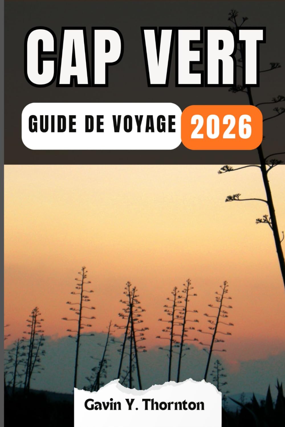 CAP VERT GUIDE DE VOYAGE: Découvrez les merveilles uniques de cette destination, avec des conseils locaux détaillés et des aperçus culturels pour une expérience de voyage inoubliable.