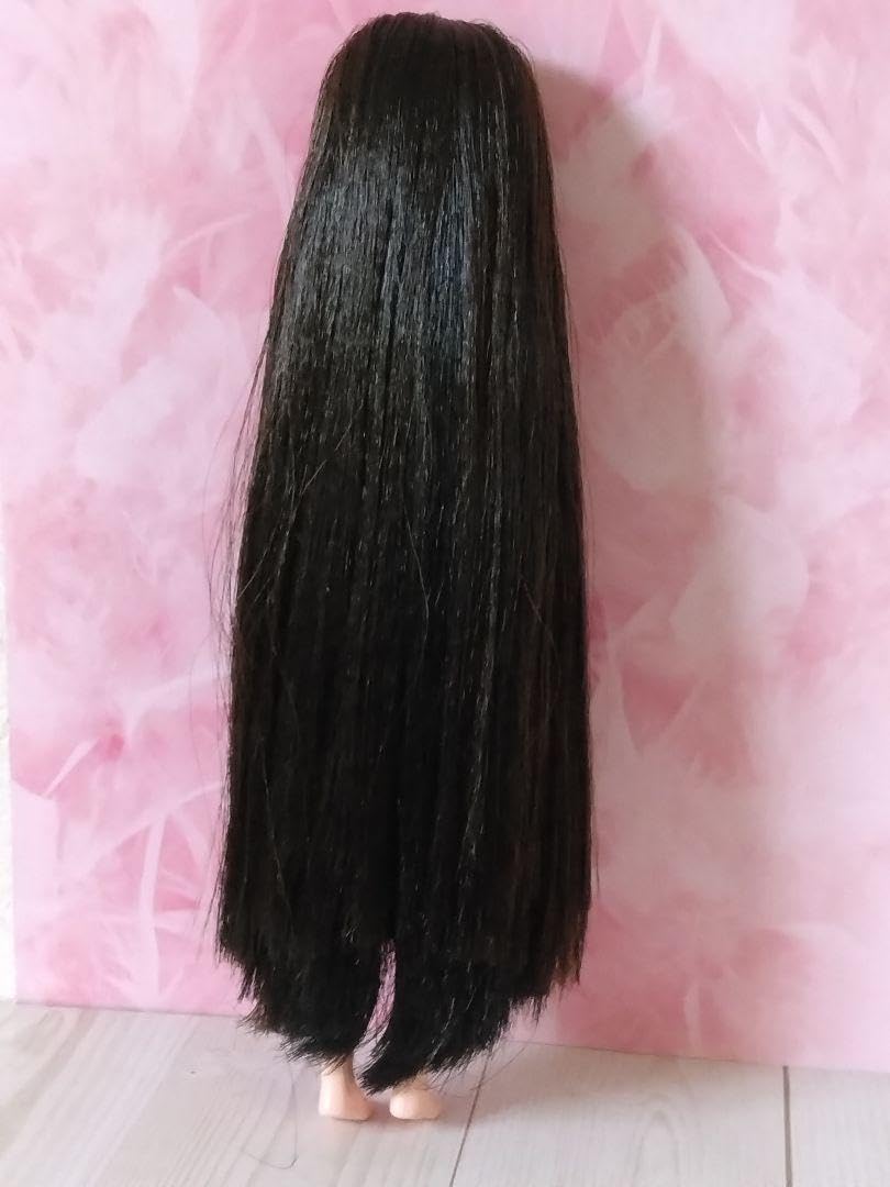 ♥kichoさま専用♥リカちゃんキャッスルリカちゃん　ストレートロングメッシュ Amazon | リカちゃんキャッスル リカちゃん 姫カット ロング