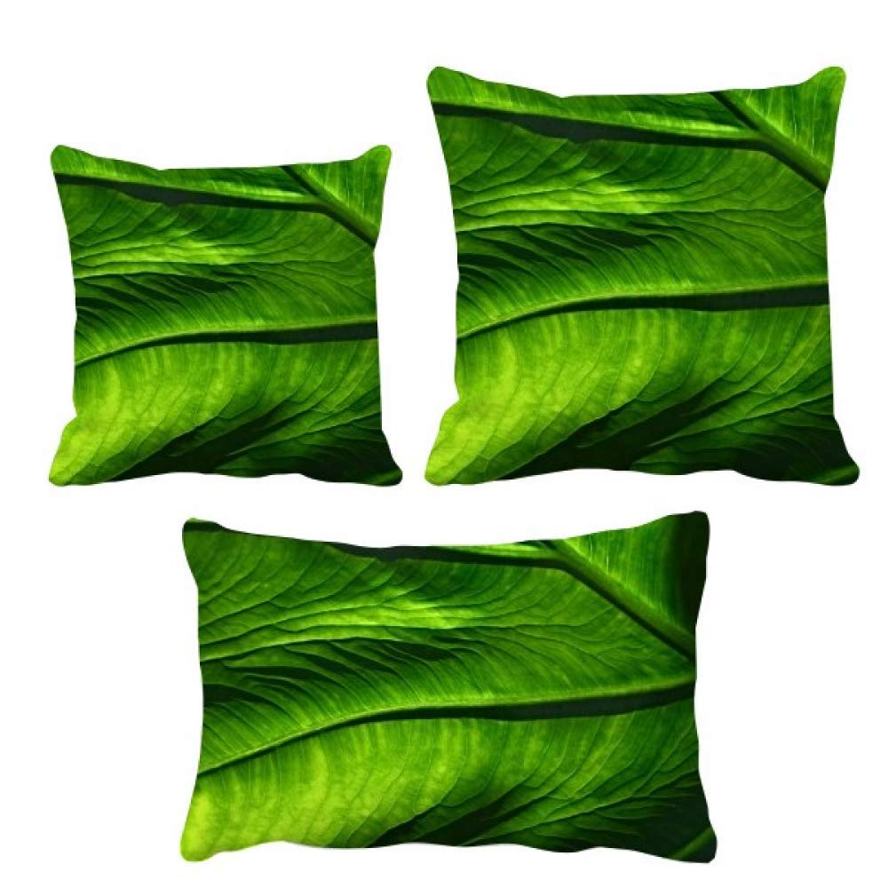 Parure de coussin feuilles de banane pour salon décoration exotique