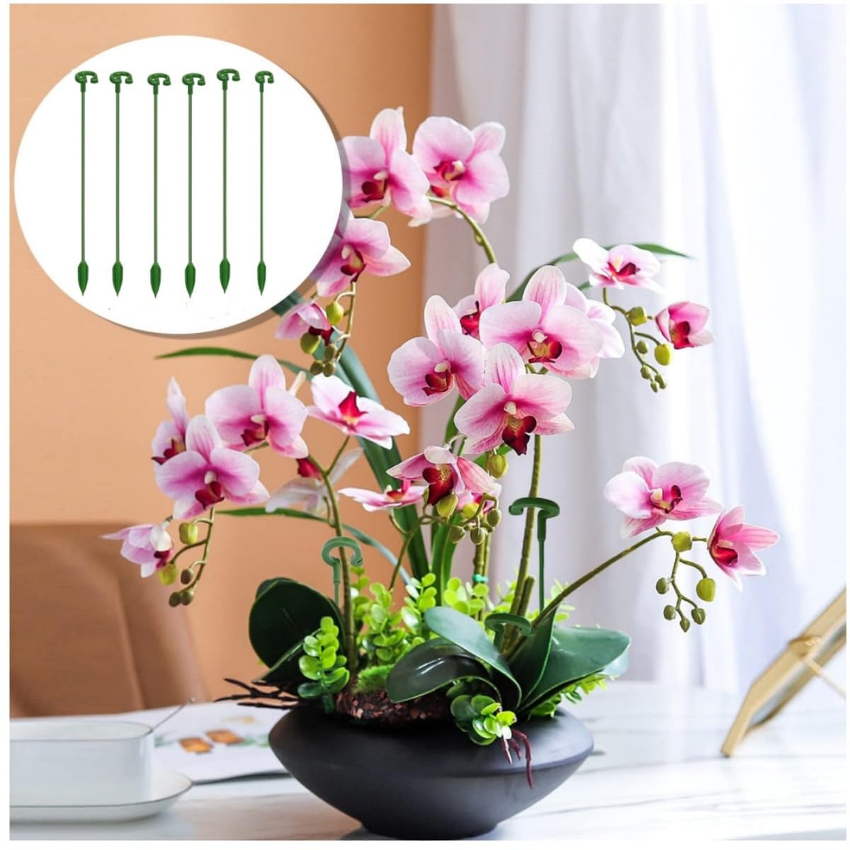 Pflanzensttze,20 Stck Pflanzenstab,27cm Pflanzen Sttze,Blumensttze  Zimmerpflanzen,Pflanzen Stabilisieren Stab,Schtzen Pflanzen Vor  Neigung,fr Pflanzen,Blume,Paprika : Amazon.de: Garten
