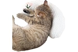 Little Pillow for Cats: Comfort and Cuddle for Serenity
