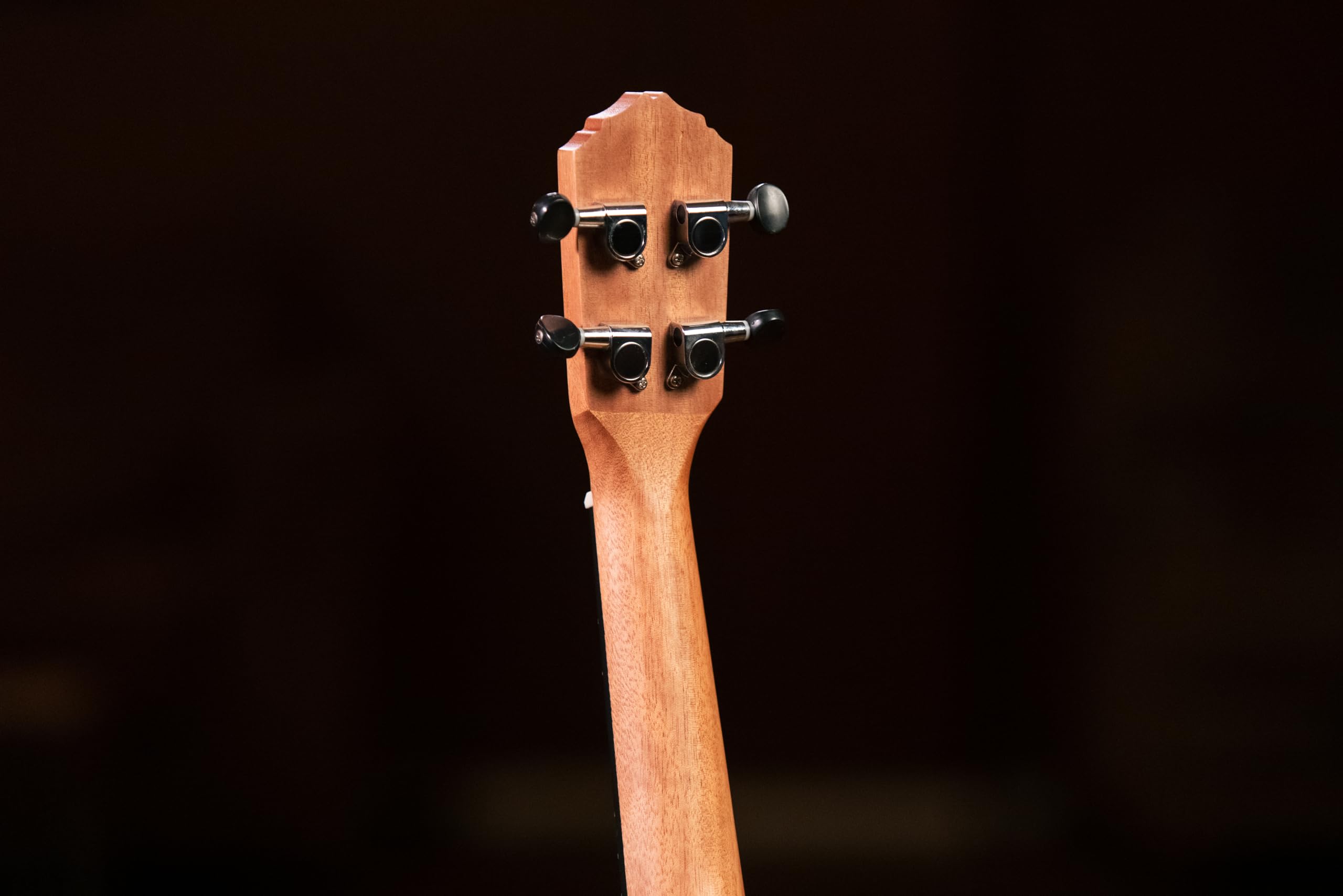 Ortega Guitars Ukulele Soprano Elettro-Acustico – Timber Series – Gig Bag Inclusa – Zebrawood, Natural (RFU10ZE)