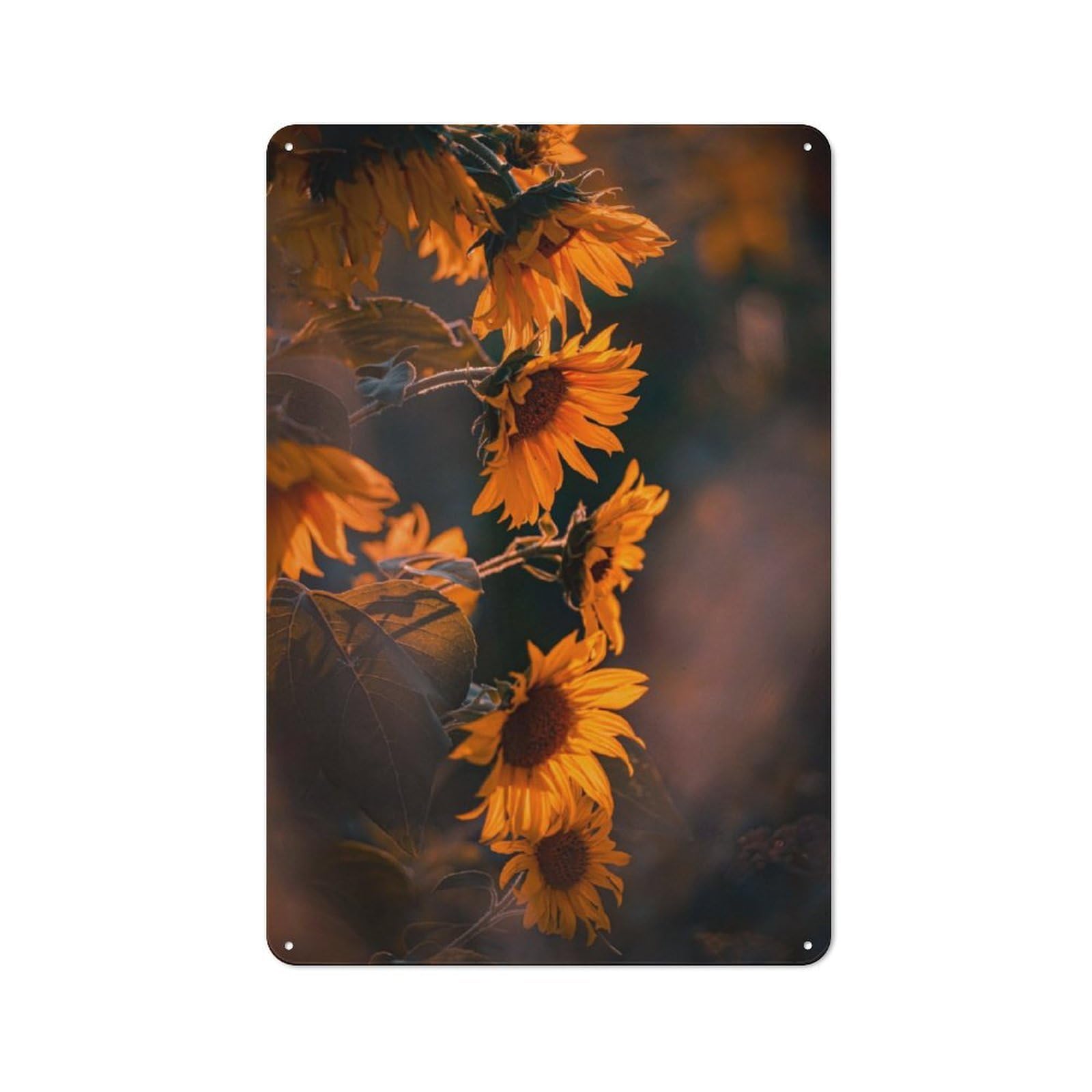 Junmoney Sunny Evening Metal Plaque 30X20cm With For Pub Or Café, Rustic Decor, For Garage, Workshop And Man Cave Decoration