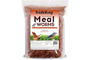 1 lb Dried Mealworms: Natures's Treat for Wildlife