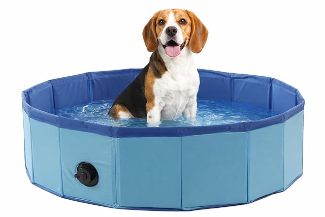 Piscina Perros - Piscina Redonda Azul 80x20 cm - plástico Resistente - Plegable - sin Bomba
