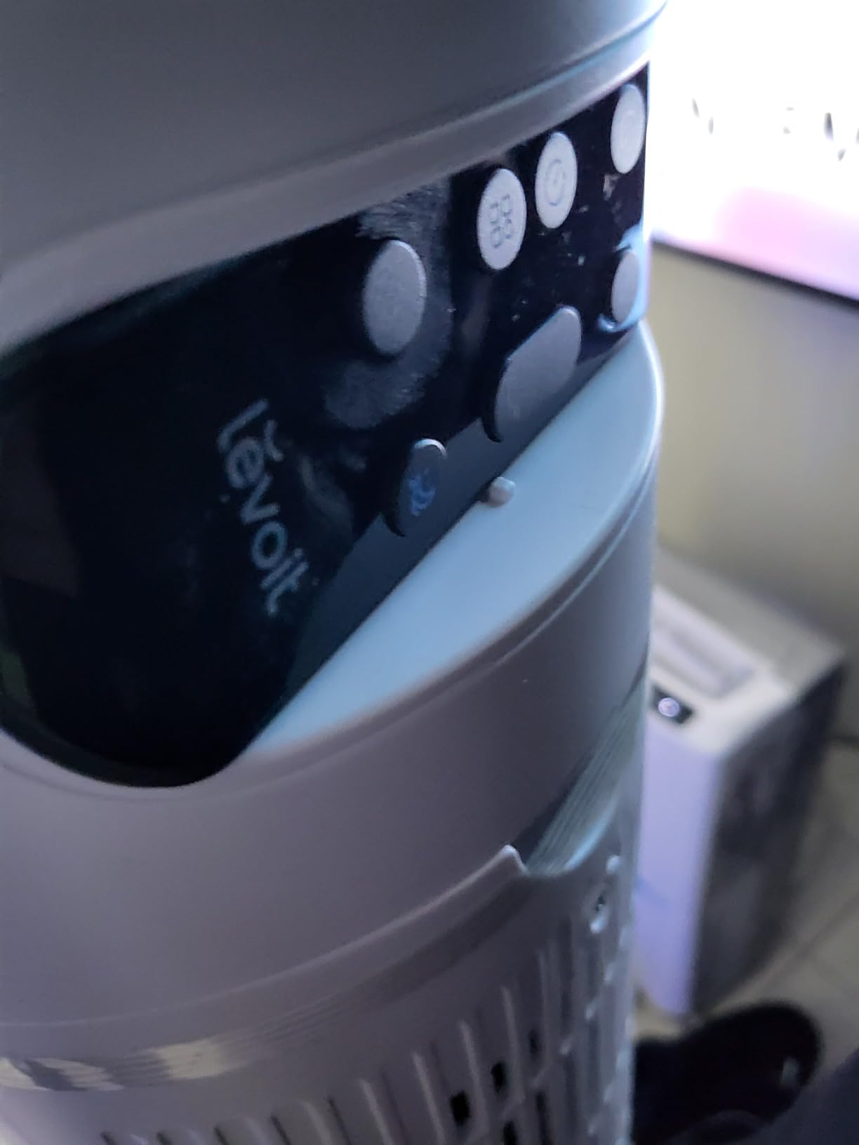 Levoit Love! 🫶🏻