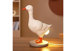 Decorative Delight: Duck Egg Resin Night Light