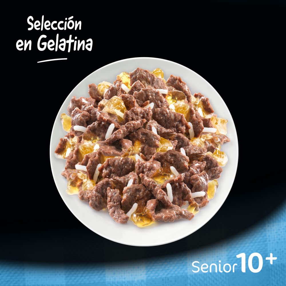 Cesar 10+ Senior - Selezione in Gelatina 13 x (4 x 100g)