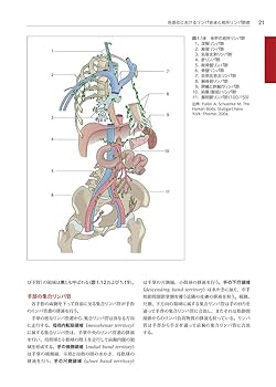 リンパ学 リンパ浮腫マネジメント ～理論・評価・治療・発症～ | ヨアヒム