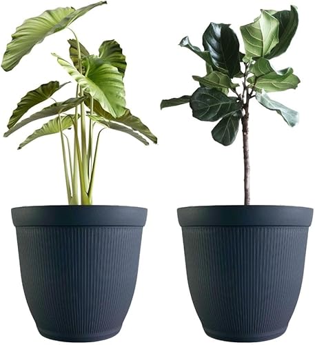 Matri Finny - Maceta redonda para plantas de interior y exterior. Maceta de 7 pulgadas, paquete de 2 (grafito)