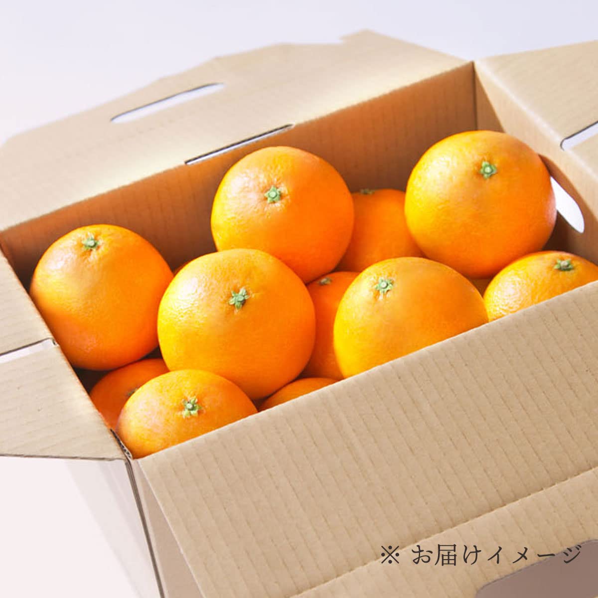 Amazon.co.jp: みかん まごころまどんな 訳あり 5kg 甘い 紅まどんなと