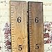 Little Acorns DIY Vinyl Growth Chart Ruler Decal Kit
