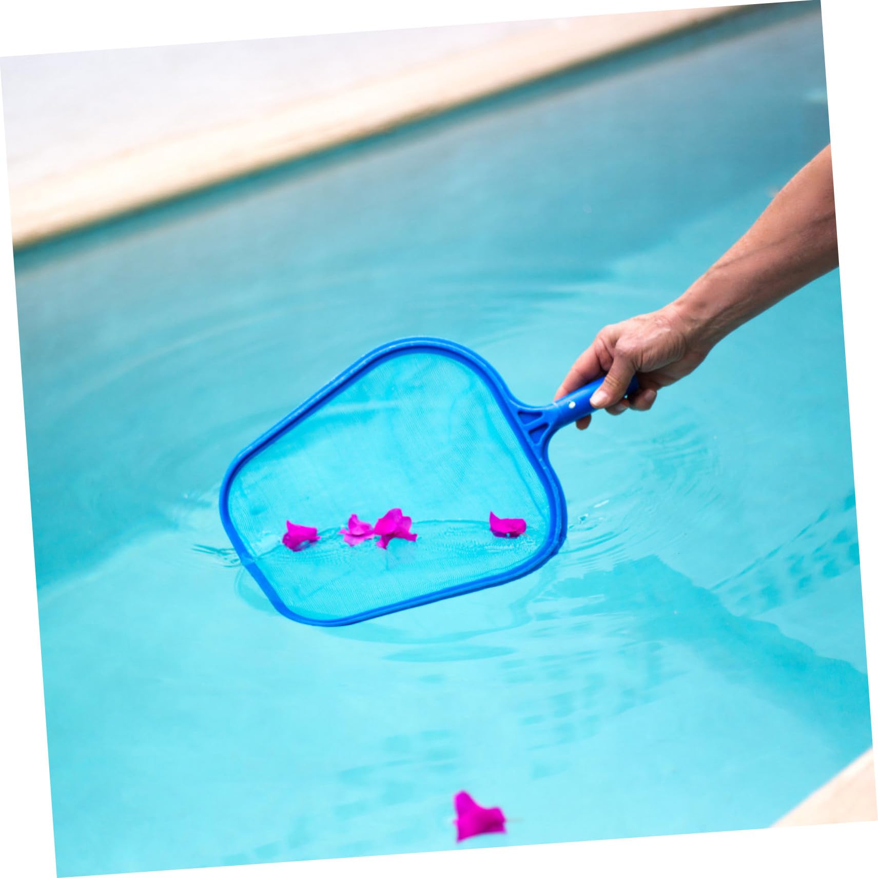 Piscina con Mango de Aluminio Secciones para Limpieza Eficaz Residuos Duradera y para Piscinas Elevadas y Enterradas