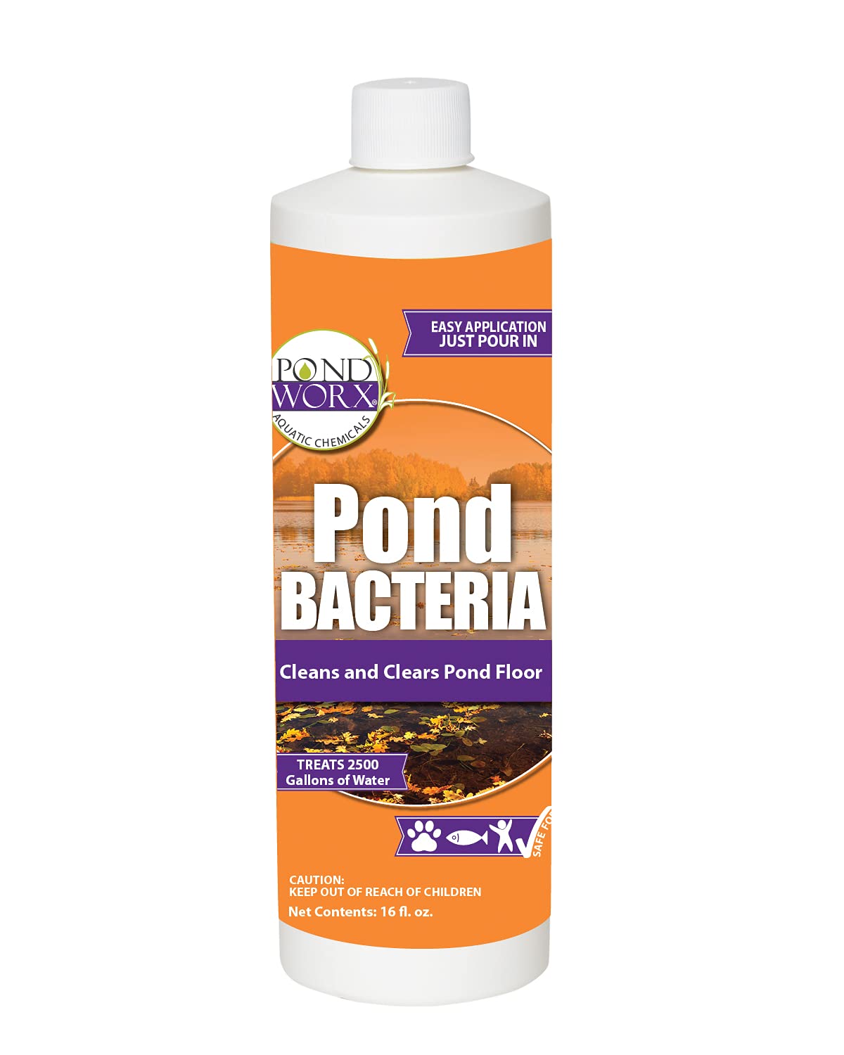 Pond Worx Bacteria - Concentrated & Formulated for Water Features - Safe for Koi - 16 Ounces & Treats up to 2,500 gallons of Water