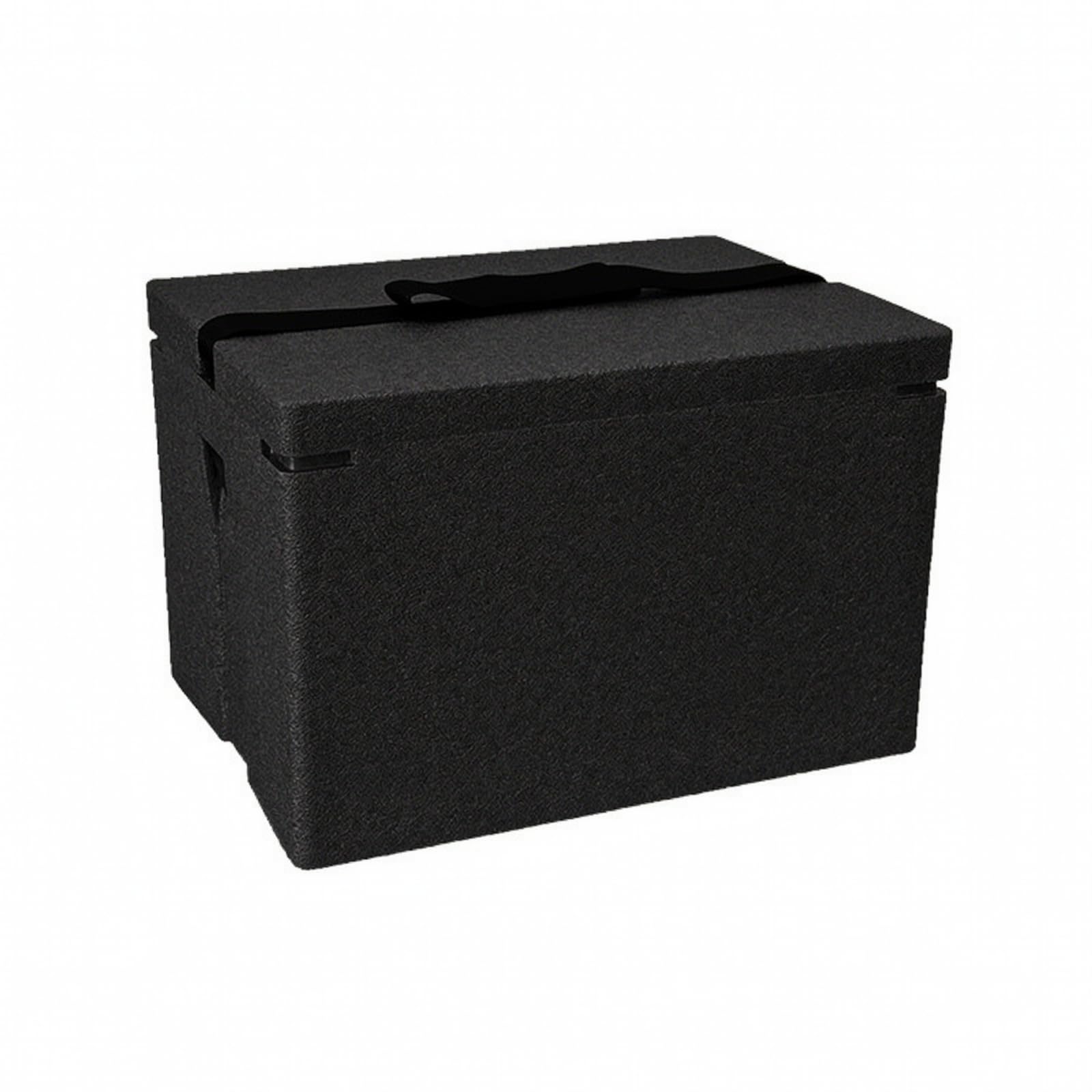 Contenitore Termico con Coperchio | Maniglie Laterali Integrate, Contenitore Isotermico in polipropilene espanso, Termoisolante, Scatola Vivande, Nero, 22L