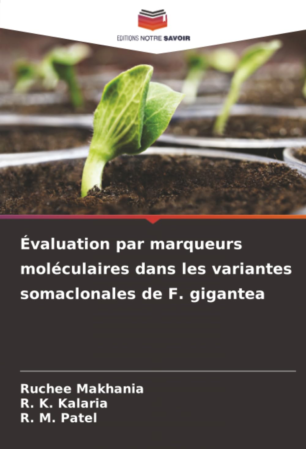 Évaluation par marqueurs moléculaires dans les variantes somaclonales de F. gigantea