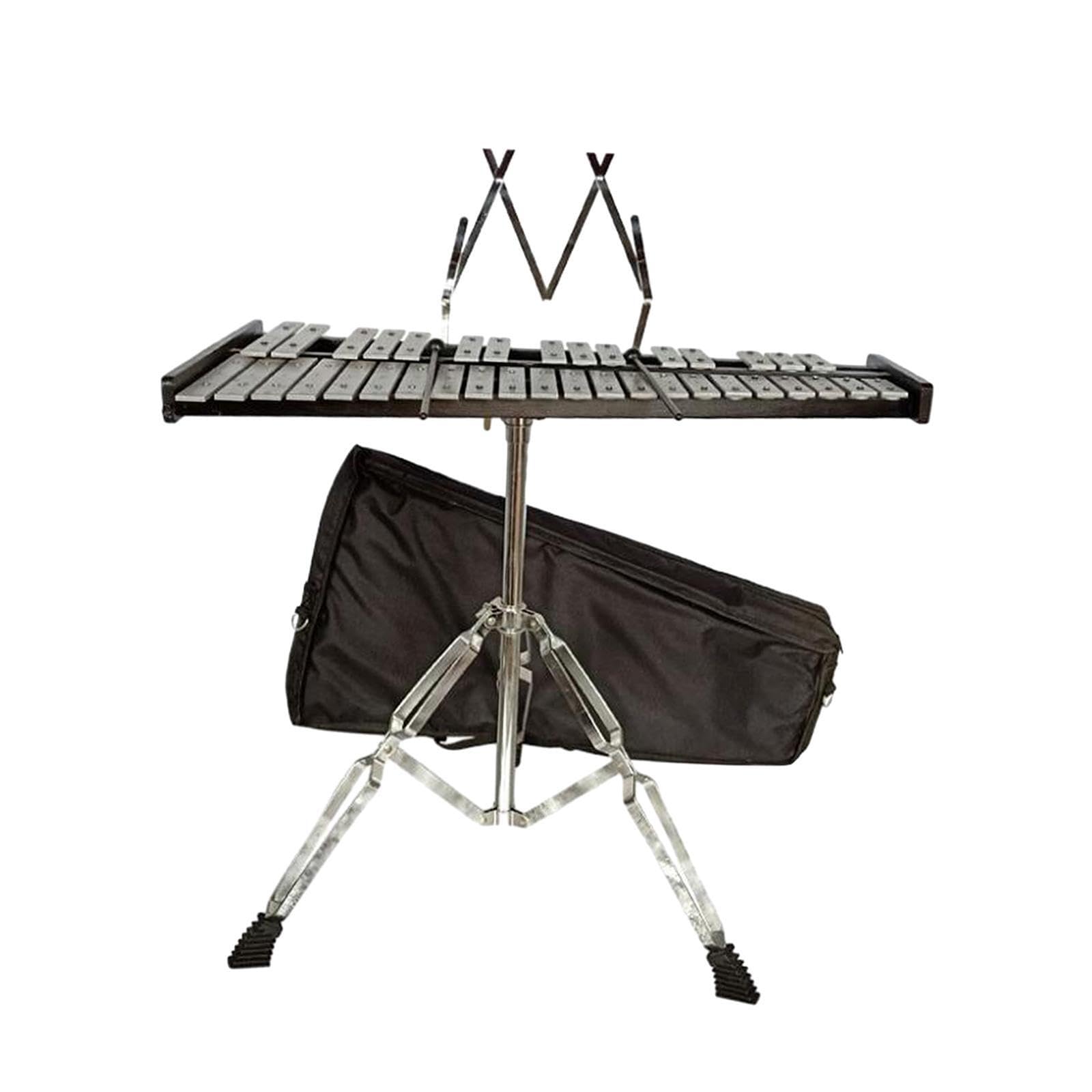 Xilofono a percussione con custodia morbida, strumento musicale professionale per l'insegnamento, per musicisti in crescita, adulti o bambini che