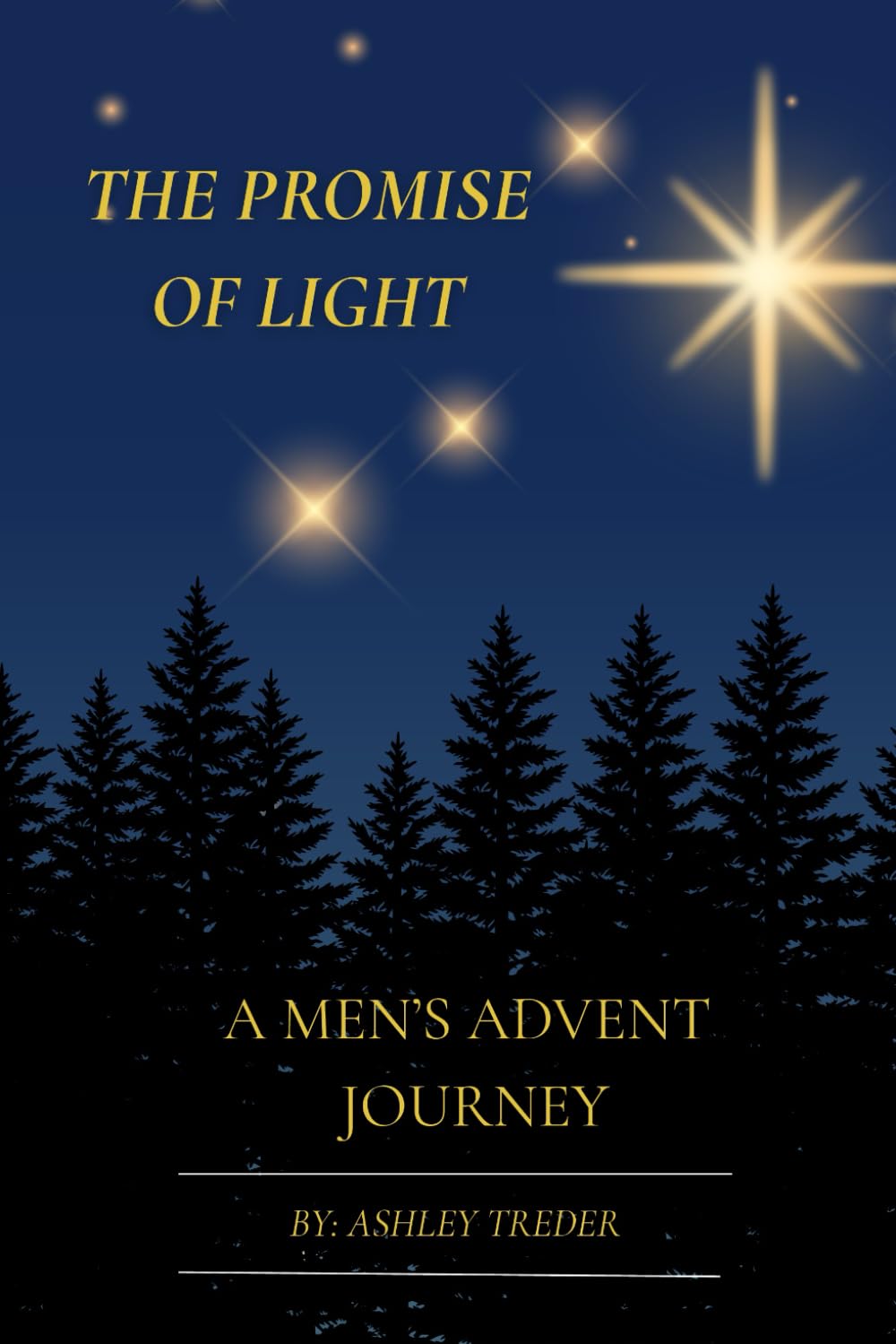 The Promise of Light: A Men’s Advent Journey: A 25-Day Advent Devotional for Men Seeking the Light of Christmas (The Promise of Light- 25-day Christmas Advent Devotionals)