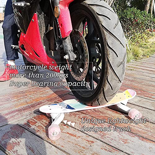 Pasbas 6.2 X 23.2 Inches Skateboard In Plastic Colourful Plastic Skateboards For Child, Beginners, Kids & Flexible Deck & Smooth Pu Wheels Skateboard For Kids Outdoor Sports (Dublue) #TOP5