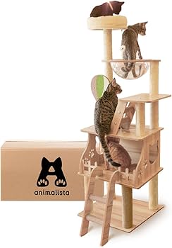 猫さん出品 猫さん出品 猫さん】 カード検索 ｜ Z/X - Zillions of enemy X - ゼクス