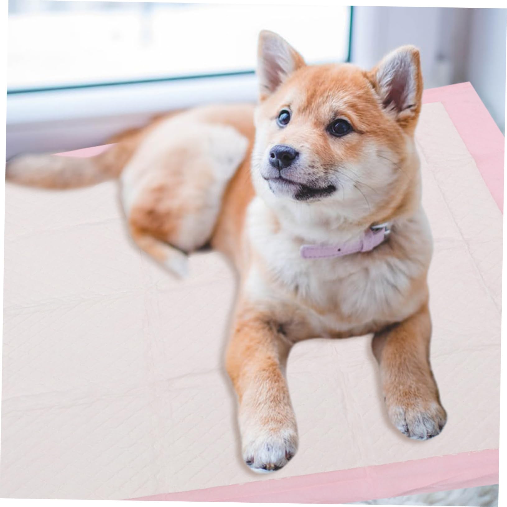 Almohadillas de Entrenamiento para Mascotas Absorbentes, 40 Piezas