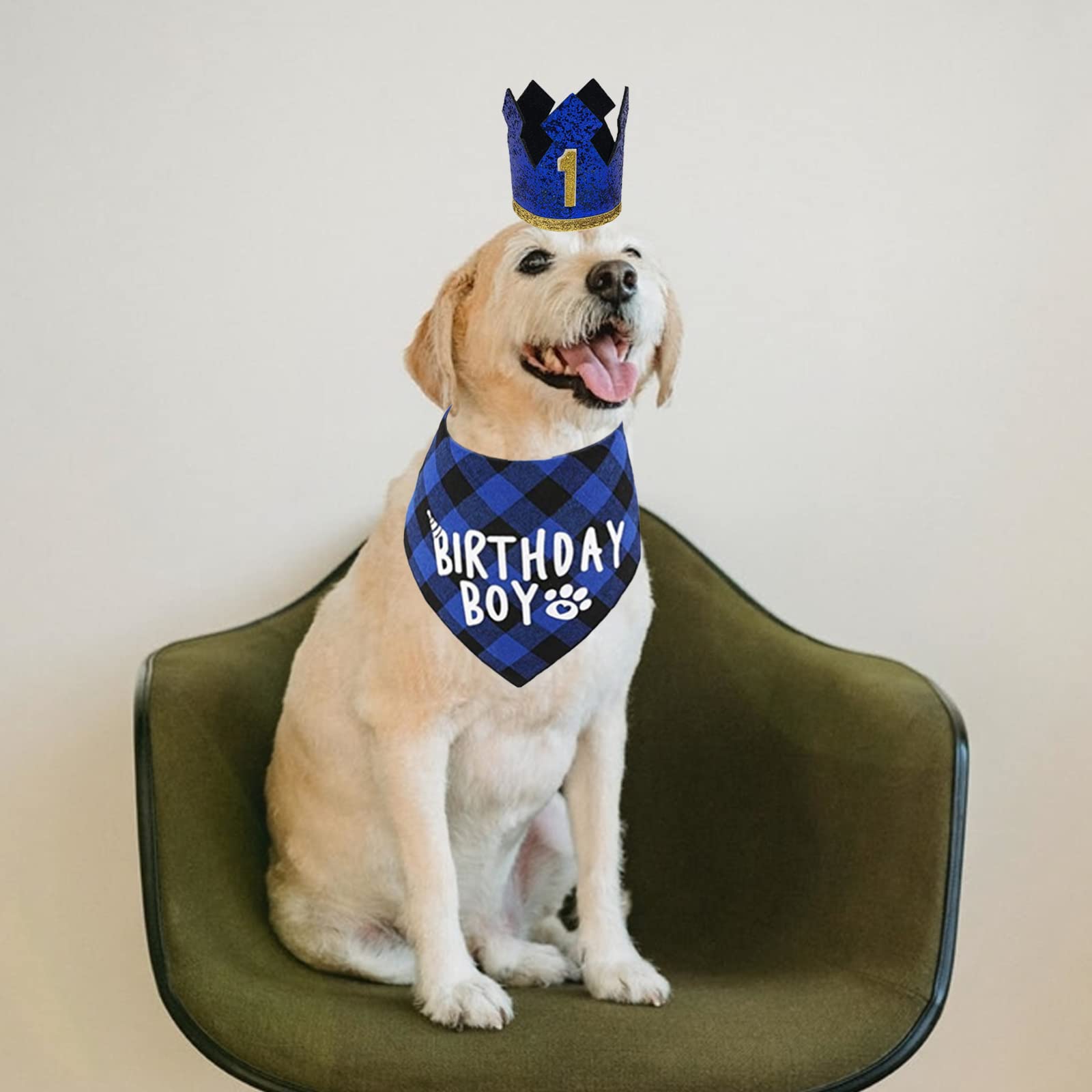 Hundegeburtstags-Set – Bandana, Partyhut & Quietschknochen Für Kleine, Mittlere & Große Hunde