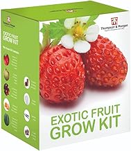 Exotic Fruit Seed Growing Kit – Cucamelon Melothria, Strawberry Mignonette, Melon Ogen, Tomato Chocolate Cherries & Pineapple Berry – Starter Pots, Peat Plugs, Plant Markers by Thompson & Morgan