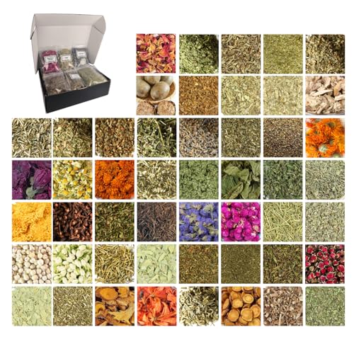 50 Pcs Premium Witchcraft Herbs Collection Ultimate Dried Flowers Apothecary Kit for Advanced Wicca Pagan Spells Divination & Grimoire Restock (10g/Bag)