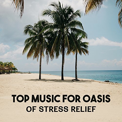 Top Music for Oasis of Stress Relief â€“ Tranquility Spa Dream, Ultimate Relaxation Center, Healing Through the Touch, Total Purification