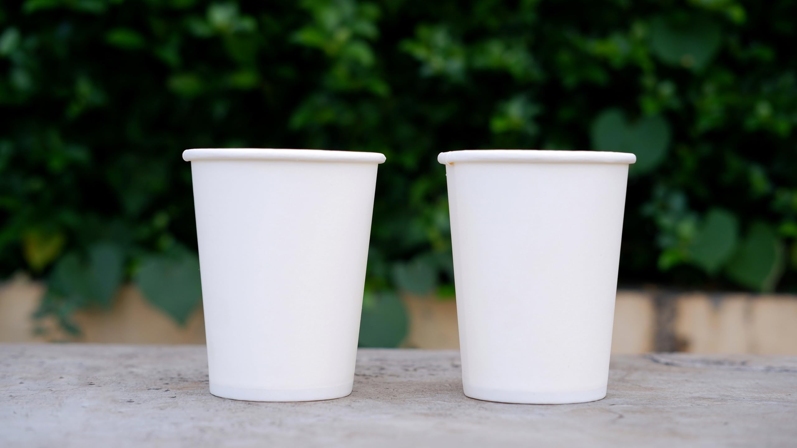 PLATANUS Bicchieri di carta bianchi 360 ml (12 oz) - Ø 70 mm, qualità 280 g/m² per bevande calde e fredde, usa e getta (360 ml (12 oz), 1000 unità)