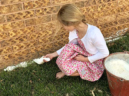 First-Saturday-Lime-20lb